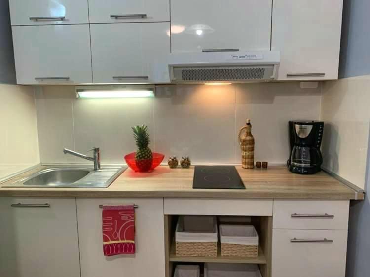 Kuchyňa alebo kuchynka v ubytovaní Fresh Apartments Dar Orlic
