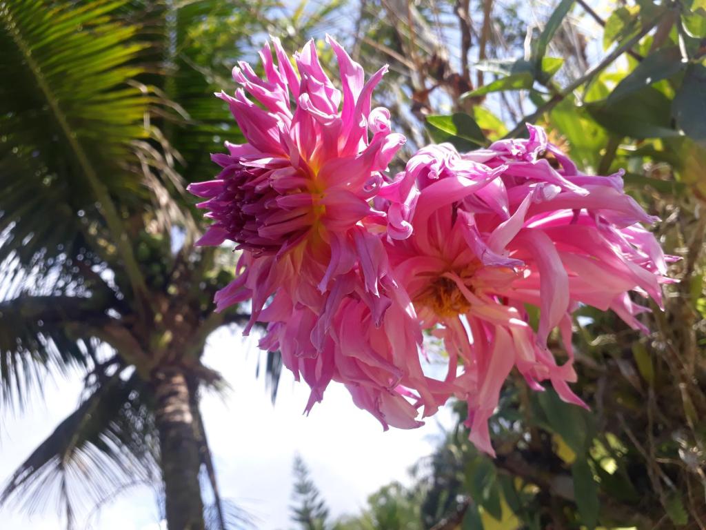  SITIO E POUSADA MANANCIAL