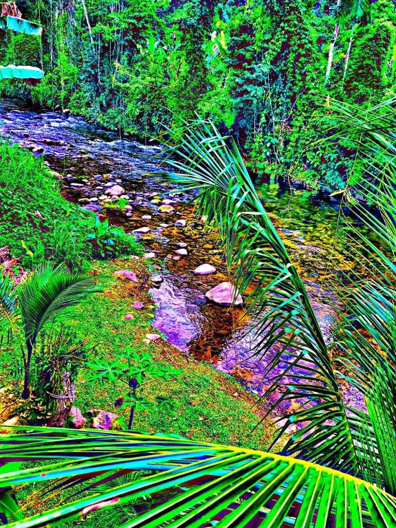  SITIO E POUSADA MANANCIAL