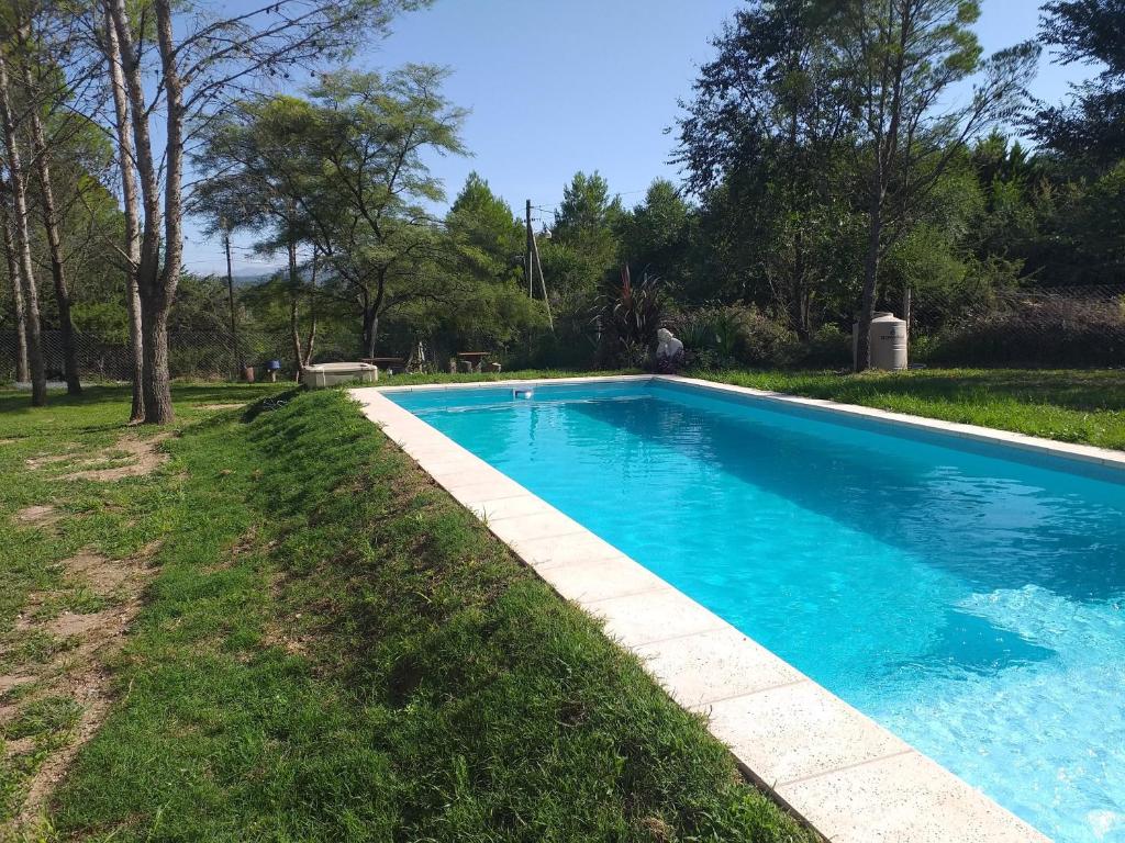 a blue swimming pool in a yard with grass and trees at Hostal El Algarrobo in Casa Grande