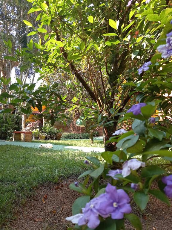  Pousada Recanto das Flores