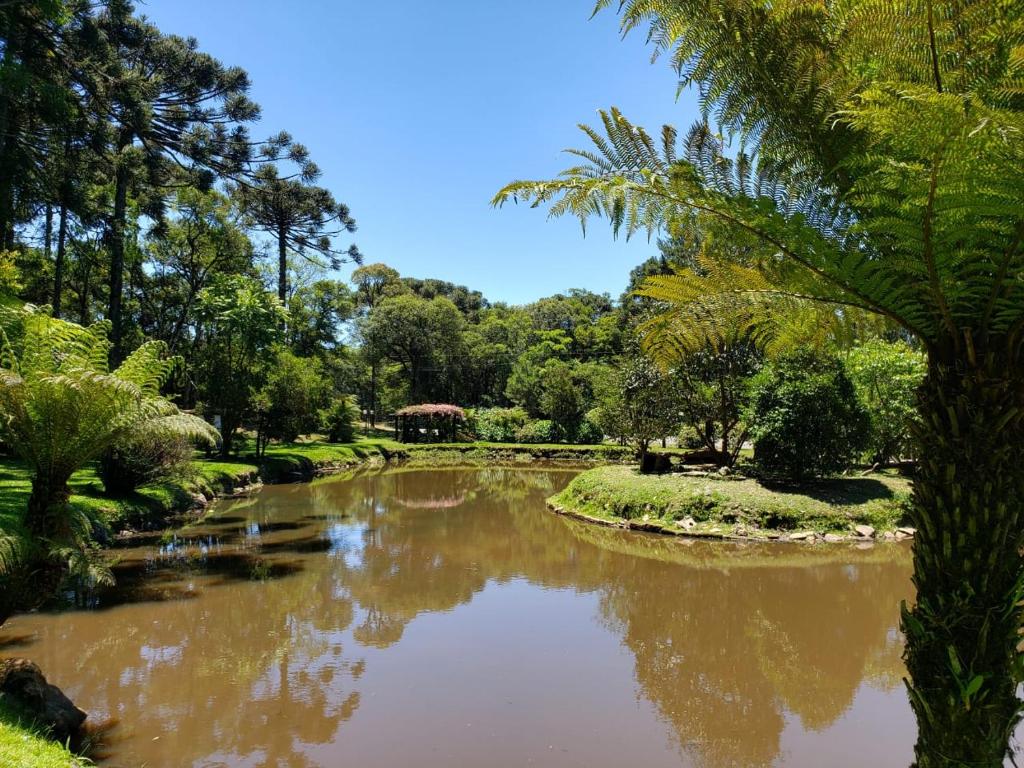 Suíte Beija Flor  Suíte Beija Flor
