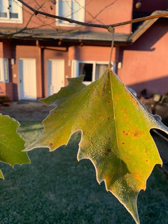  Sua Casa em Canela