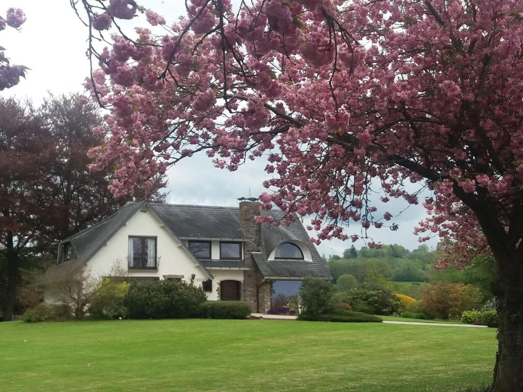 una casa con un albero da fiore di fronte di Elegant villa in Stavelot with fitness playroom a Stavelot