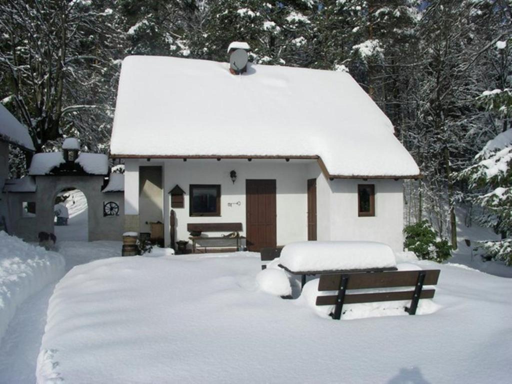 small holiday home at the edge of the forest v zimě