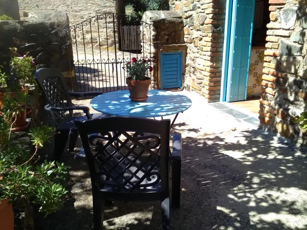 La BorregaにあるRustic Farmhouse in Valencia de Alc ntara with BBQの鉢植えのテーブルと椅子2脚