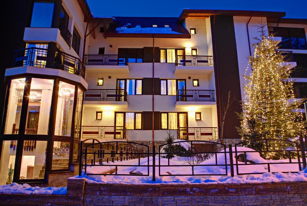 a christmas tree in front of a building at Cabana Bistrita in Durău