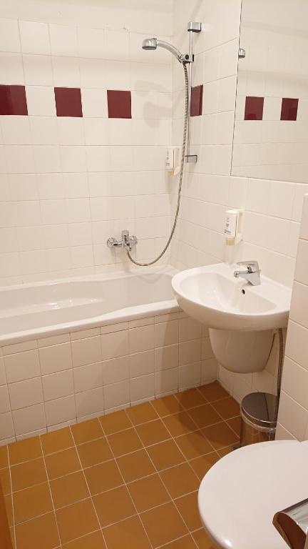 Hotel Certousy - Resim 10