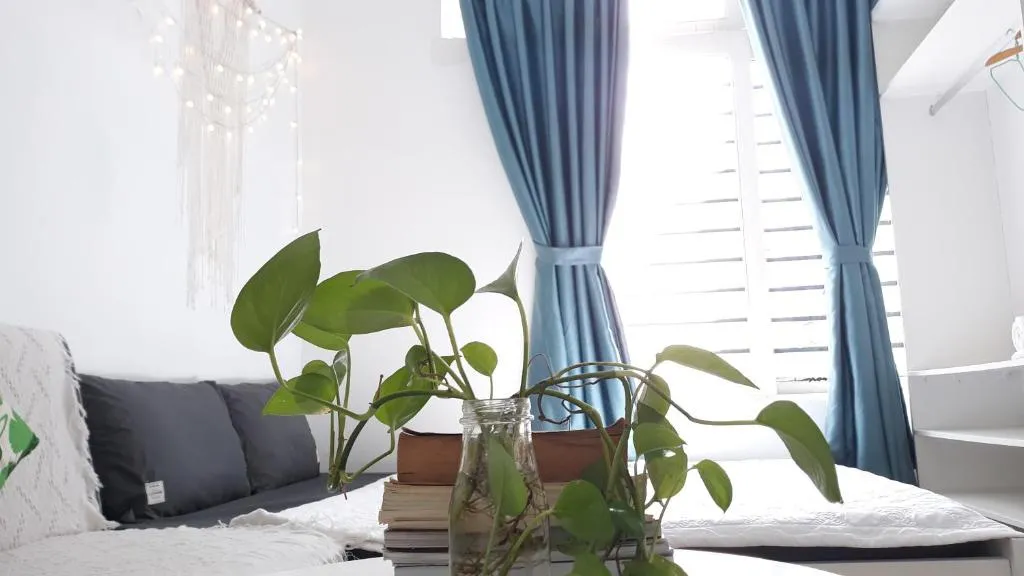Sgcute Homestay, Ho Chi Minh City, Vietnam