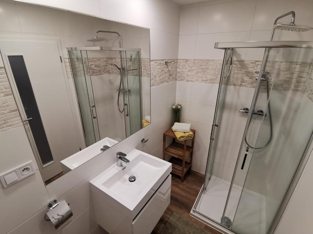 Koupelna v ubytování APARTMÁNY 91 Boží Dar