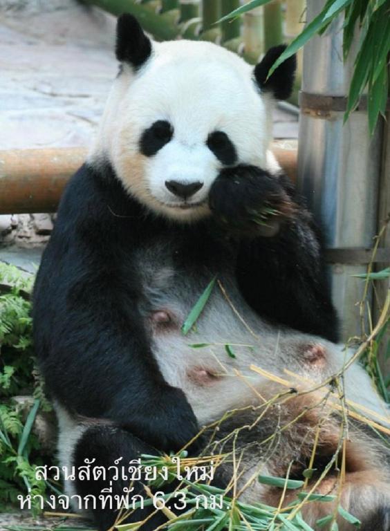 Chiangmai HomeTeL - Resim 30