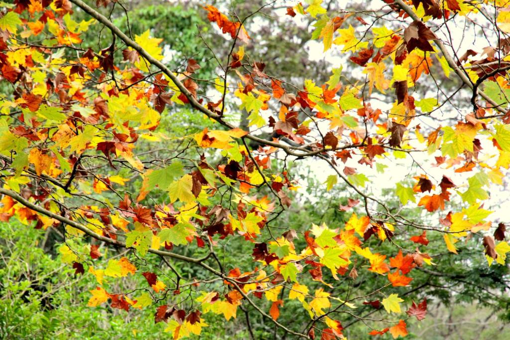 Zahrada ubytování Alta Gracia Parque Hotel
