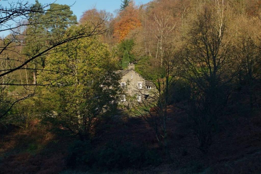 an old house in the middle of a forest at Woodland Crag Cottage, Grasmere in Grasmere
