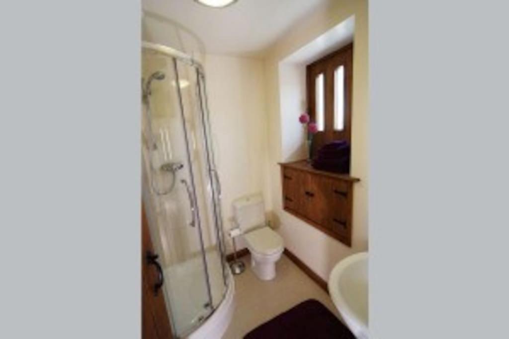 a bathroom with a shower and a toilet and a sink at Damson View, Little Langdale in Little Langdale