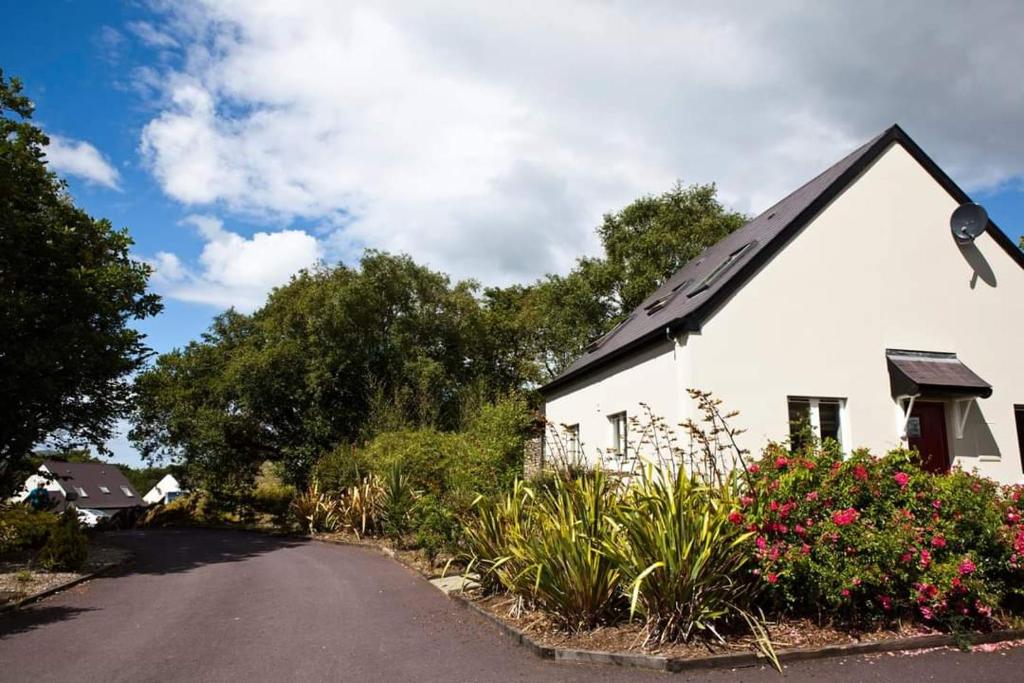 Zahrada ubytování Berehaven Lodge