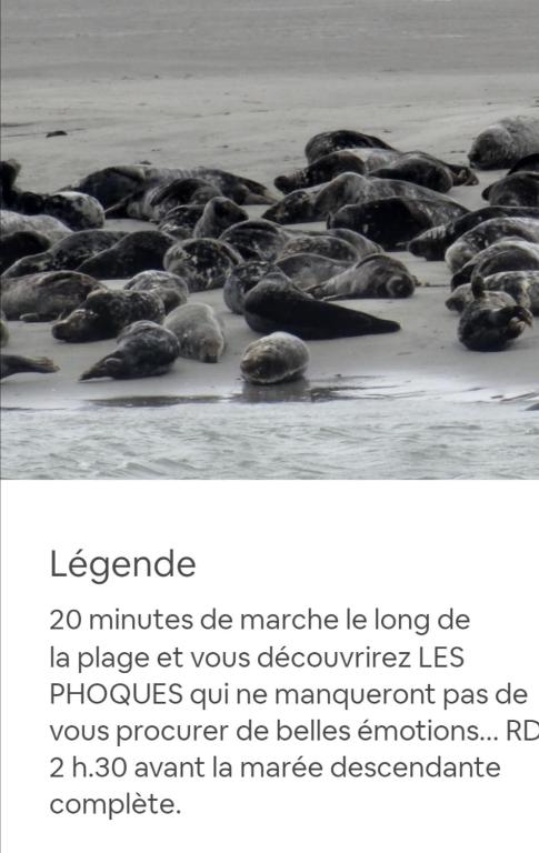 Fotografie z fotogalerie ubytování MINI TARIF pour un MAXI CONFORT v destinaci Berck-sur-Mer