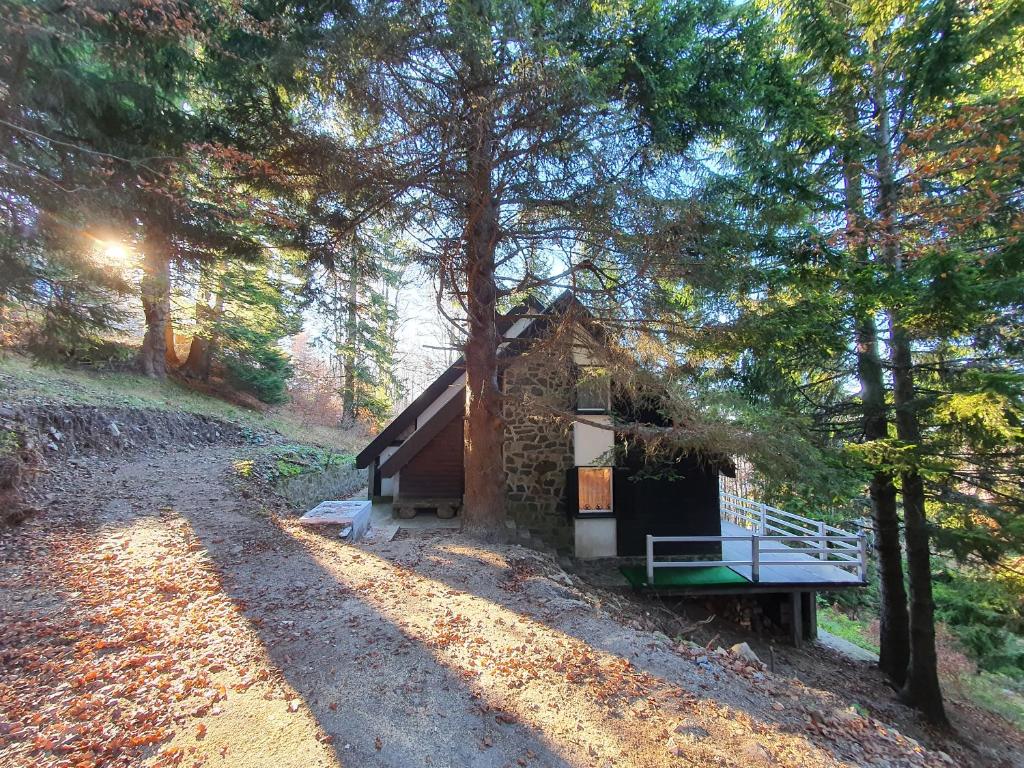 una pequeña cabaña en medio de un bosque en VILA PAVLOVIC en Kopaonik