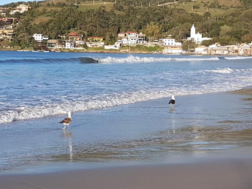  Casa Aluguel Garopaba