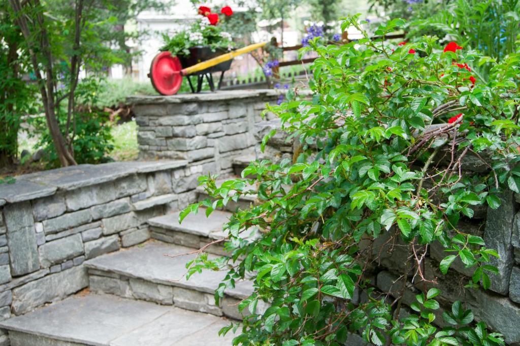 Hotel Alpina - Resim 34