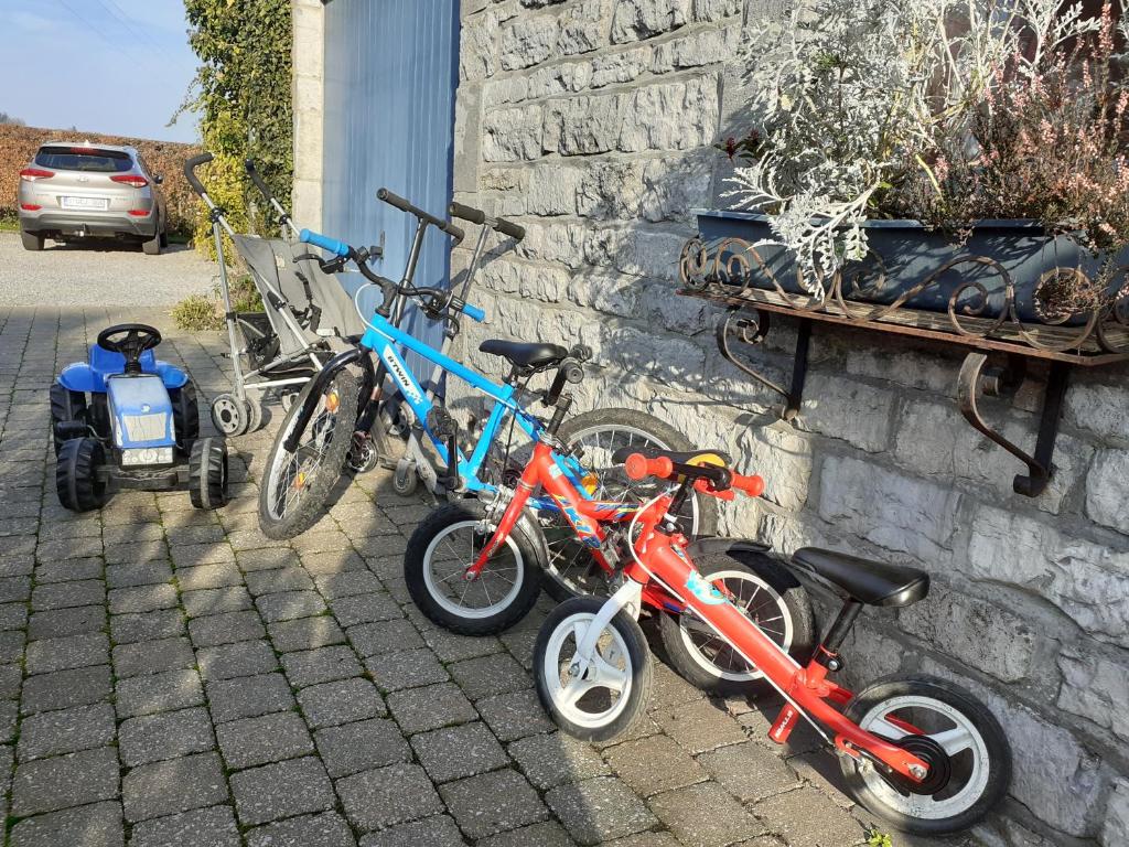 Jízda na kole v ubytování l'Heure bleue nebo okolí