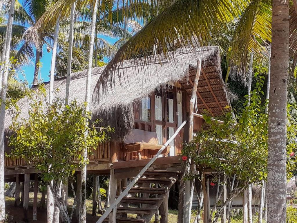 Zahrada ubytování Art Jungle Eco Lodge