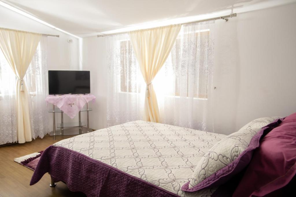 a bedroom with a bed and a tv and windows at Casa Relax in Sânâteşti