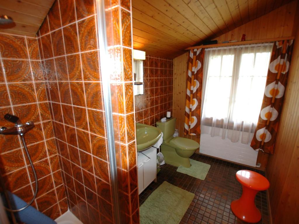 Koupelna v ubytování holiday home in Wilderswil with garden