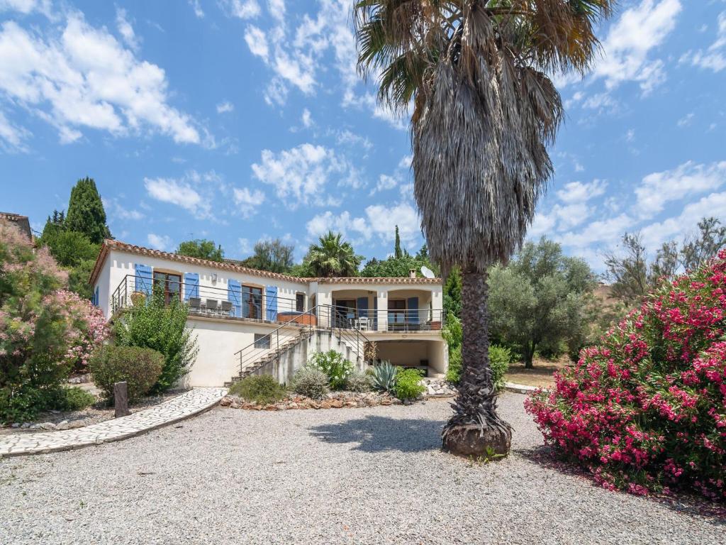 palma przed domem w obiekcie Modern Villa with Heated Pool w mieście Beaufort