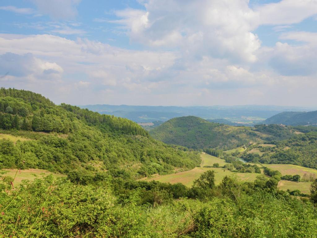 Przyroda w pobliżu tego domu wakacyjnego