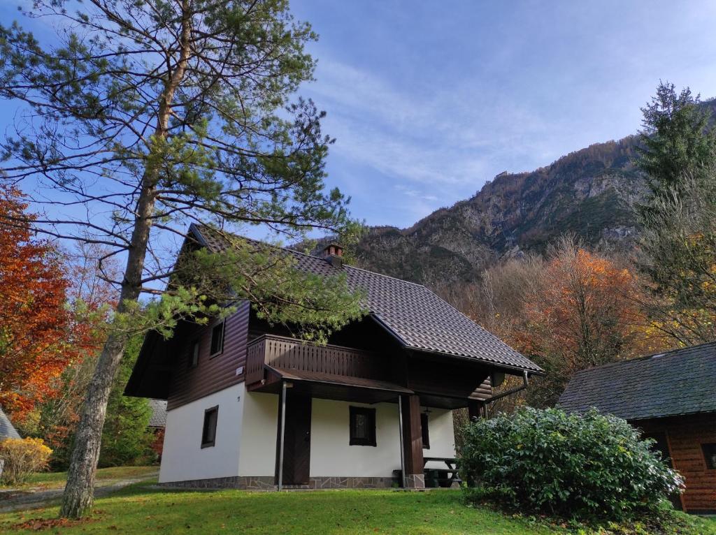 a house with a roof with a mountain in the background at Apartmaji Zupančič in Bohinj