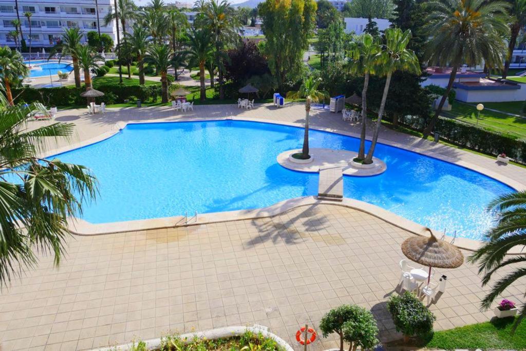 an overhead view of a large swimming pool with palm trees at Apartamento Can Poma in Alcudia
