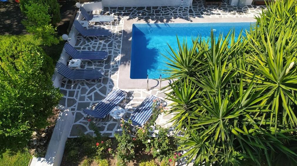 an overhead view of a swimming pool with chairs and trees at VitaminSea Apartments in Kallithea Halkidikis