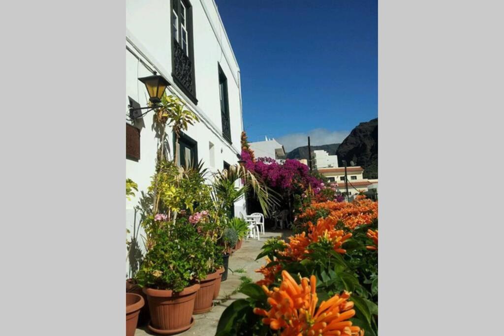 un grupo de flores en macetas al lado de un edificio en Apartamento Askanova, en Calera