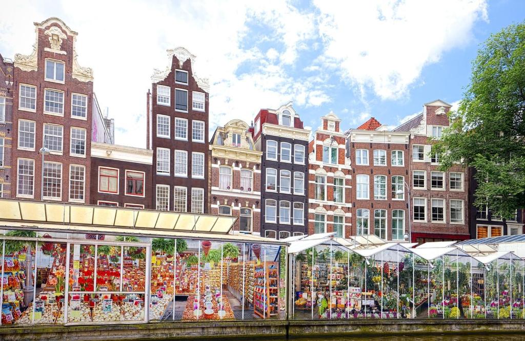 Owl Hotel - Resim 42