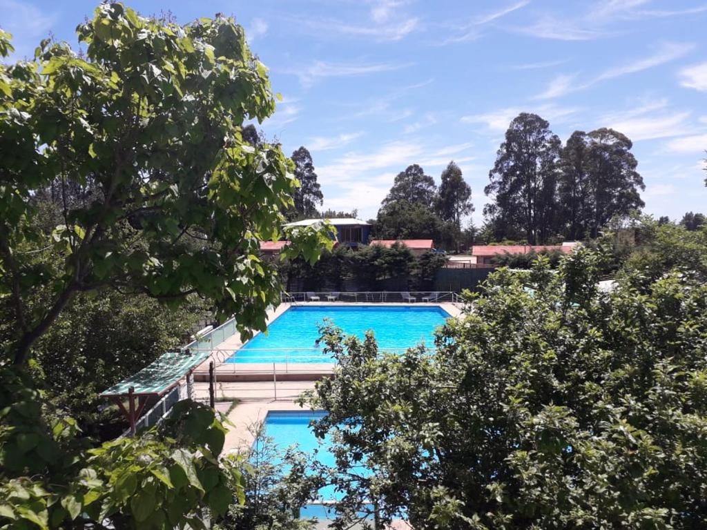 an image of a swimming pool with trees at Vista Hermosa in Constitución
