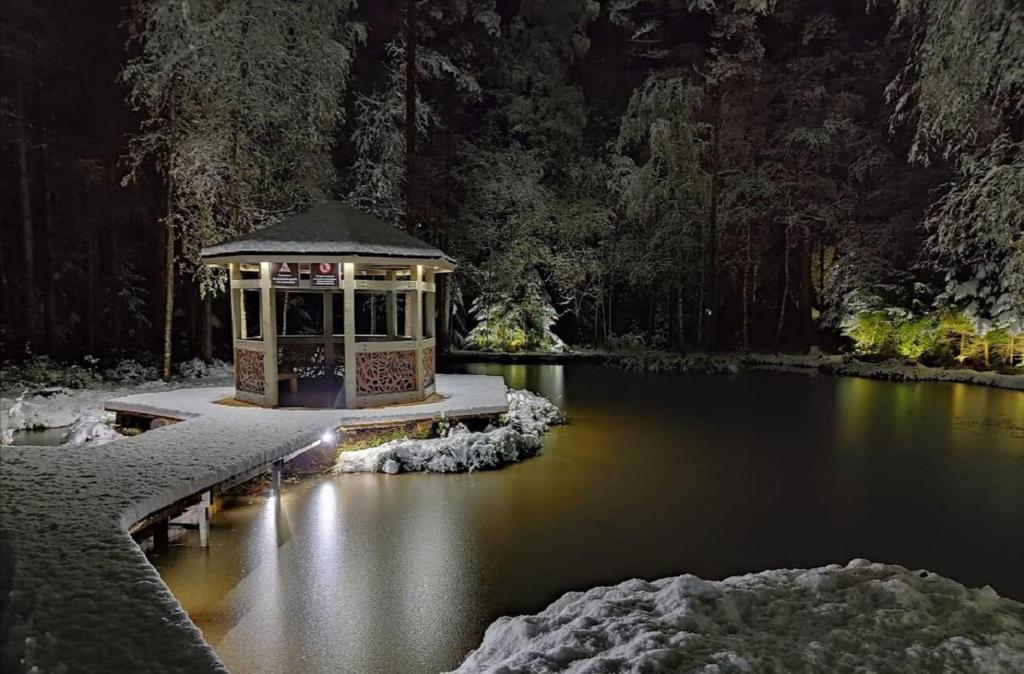 un cenador en medio de un estanque por la noche en Snezhny Resort, en Korobitsyno