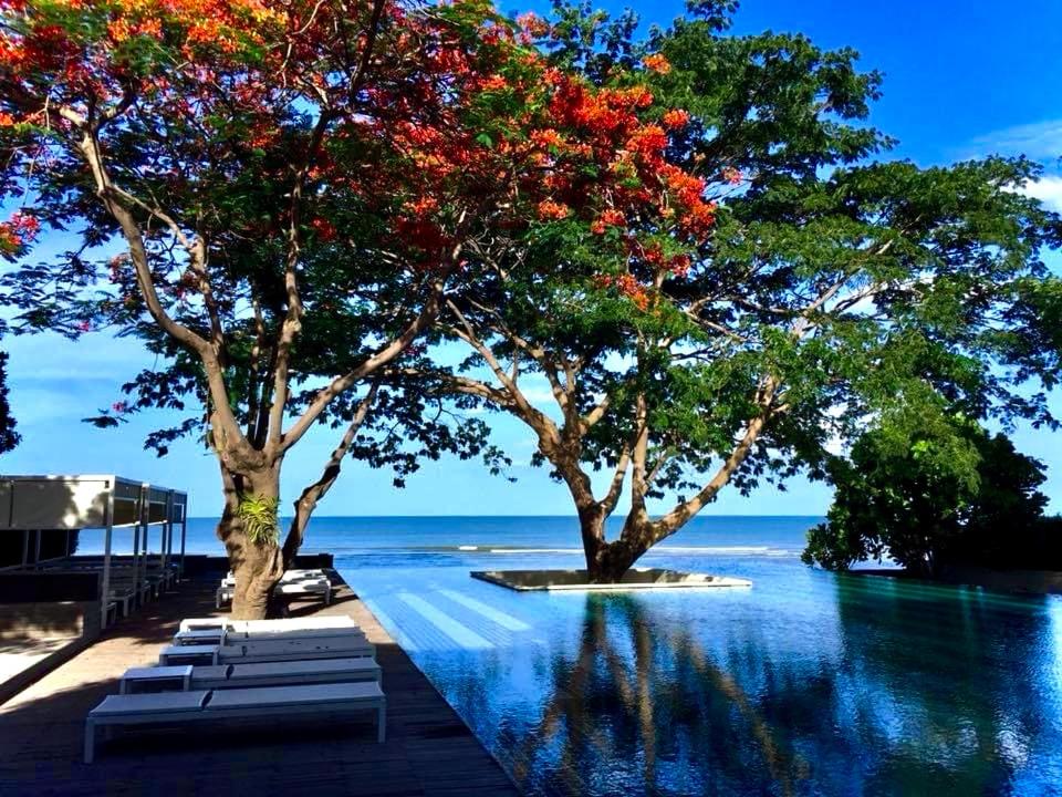 un gruppo di alberi con fiori rossi su un corpo d'acqua di Baan San Kraam 5206 Cha-am Hau Hin a Petchaburi