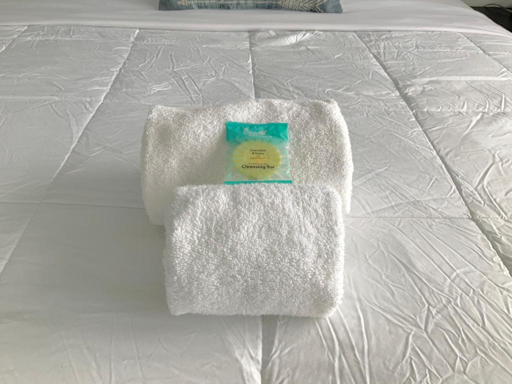 Adorable private apartments in the Heart of Miami! - 公寓 - 一楼