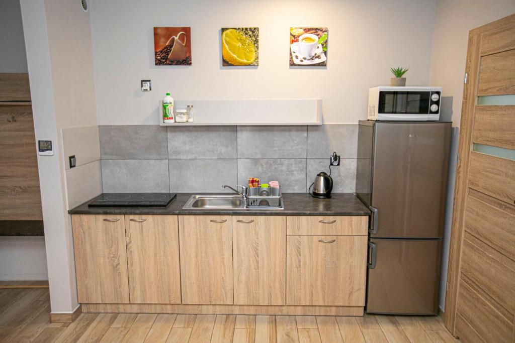 Kuchyň nebo kuchyňský kout v ubytování Apartamenty PIER