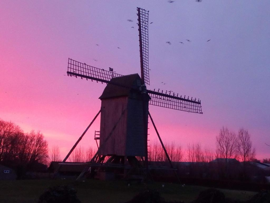 een windmolen met een roze zonsondergang op de achtergrond bij Vakantiehuis Louiselotte in Alveringem