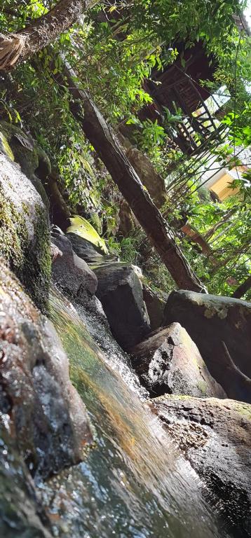 Wooden Hut Koh Kood - 1