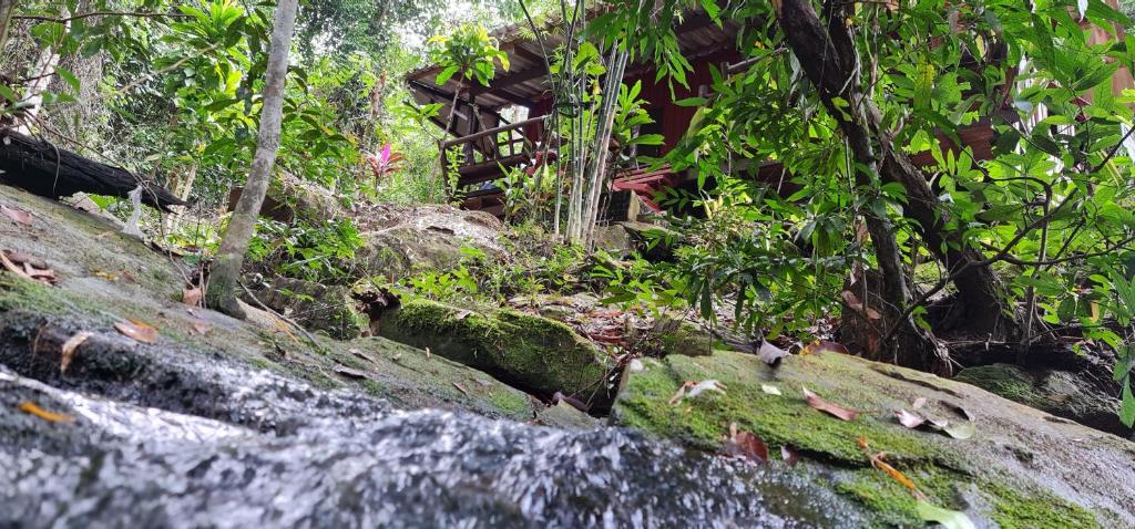 Wooden Hut Koh Kood - 3