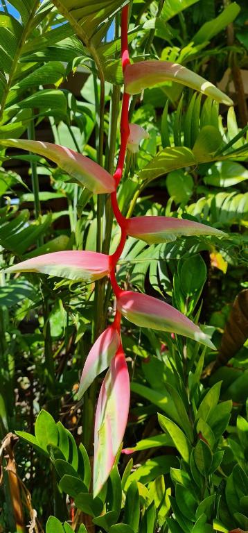 Wooden Hut Koh Kood - 11