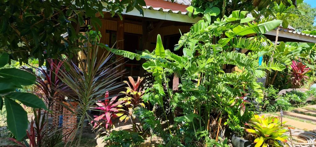 Wooden Hut Koh Kood - 13