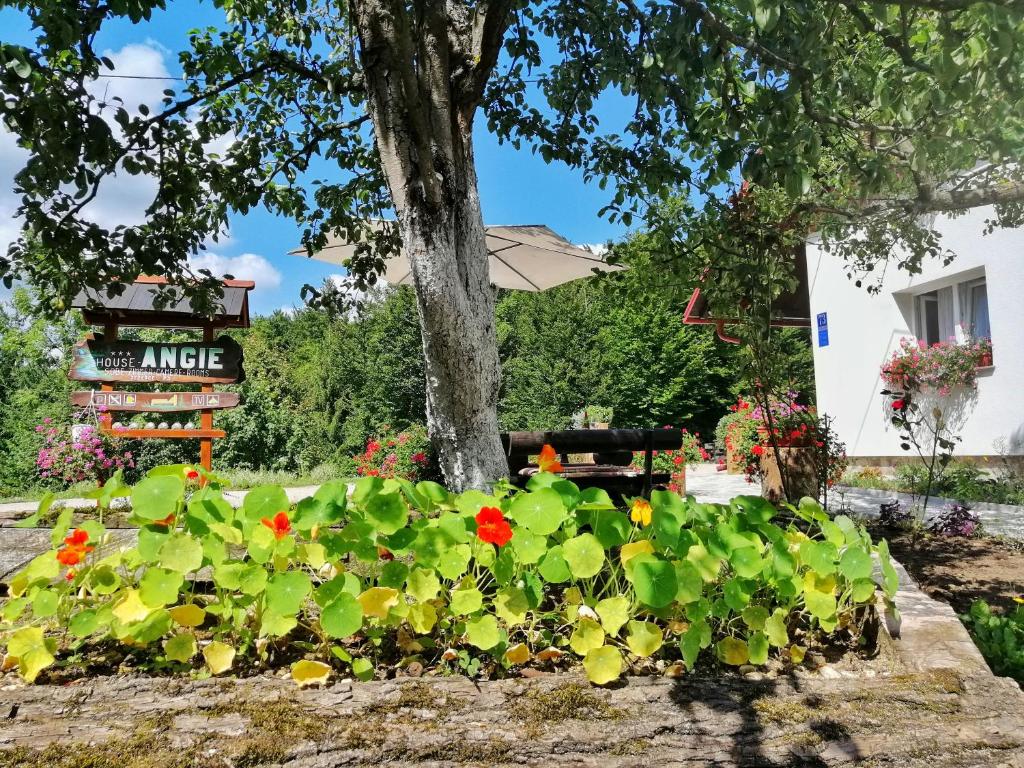 einen Blumengarten vor einem Baum in der Unterkunft House Angie in Jezerce