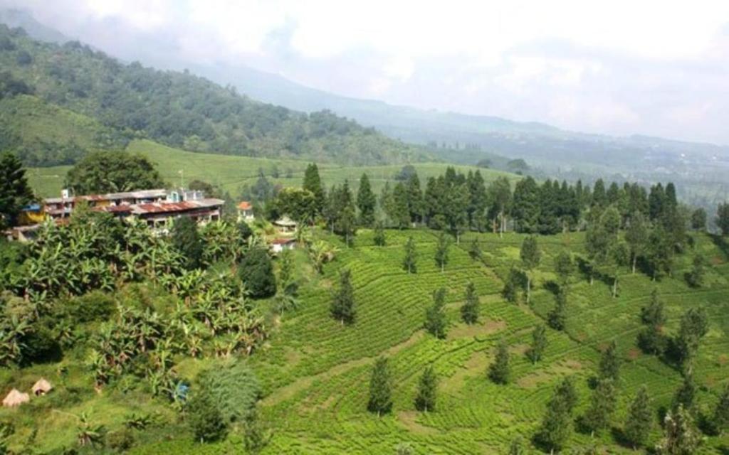 Villa Bidadari