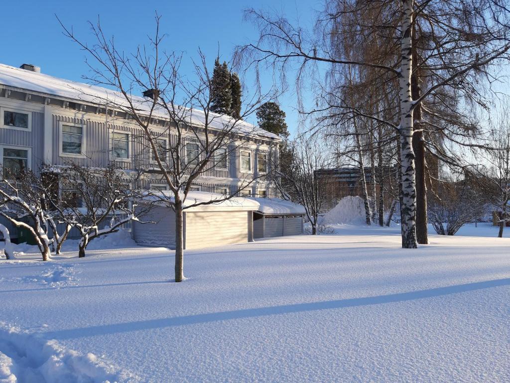 Piteå Vandrarhem v zimě