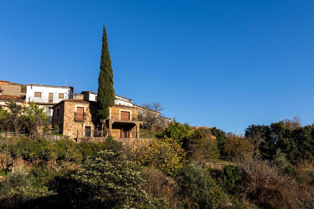 Casa Rural El Abeto في Torre de Don Miguel: منزل قديم على تلة مع شجرة