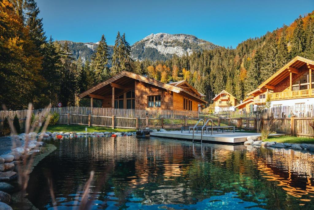 Luxury Chalets Gradenbach near Schladming - Chalet 1