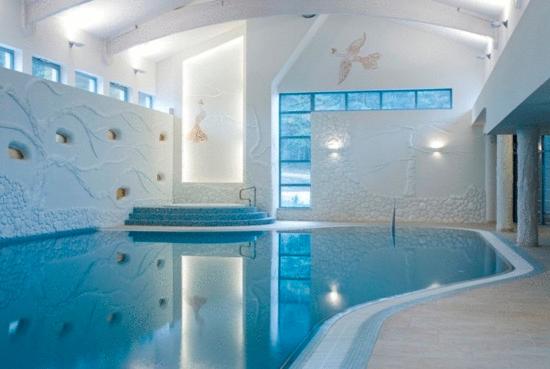 Indoor swimming pool with artistic wall designs and soft lighting.